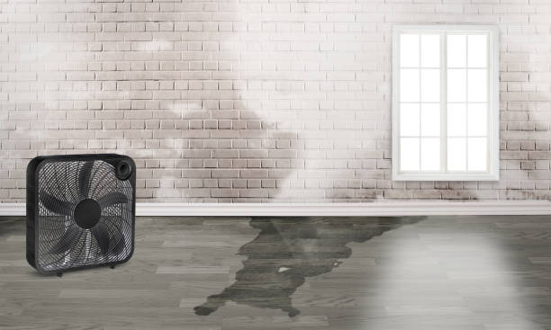 Best Fire Damage Restoration  in Paulsboro, NJ