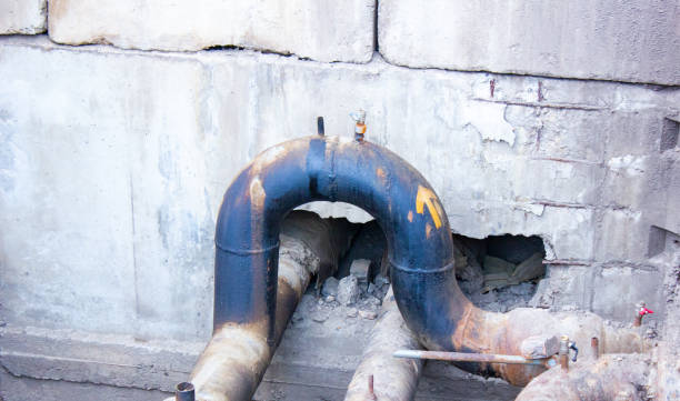 Best Water damage contractors near me  in Paulsboro, NJ