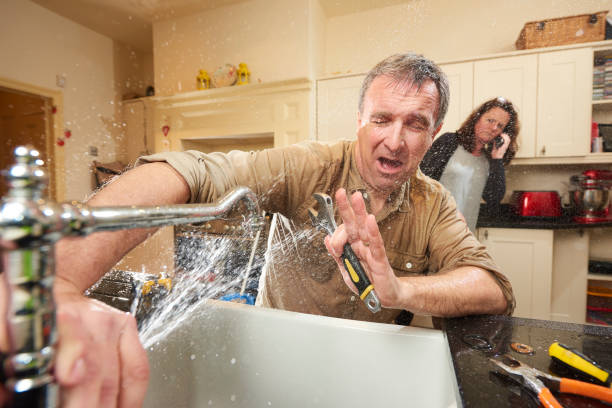 Best Water damage cleanup near me  in Paulsboro, NJ
